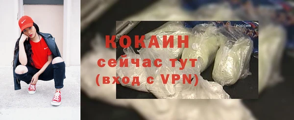 дживик Аркадак