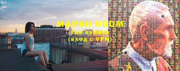 твердый Арсеньев