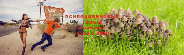 прущие крисы Балабаново
